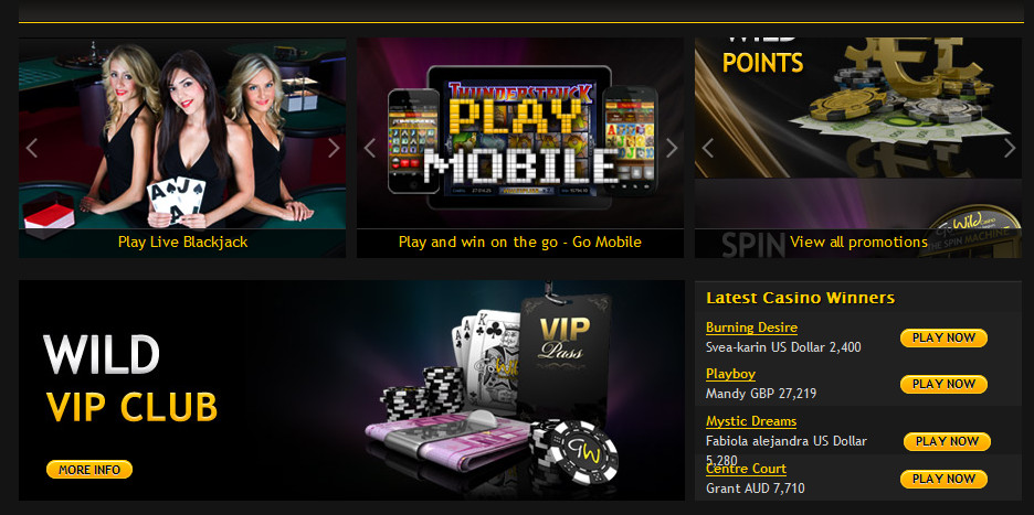 GoWild Casino